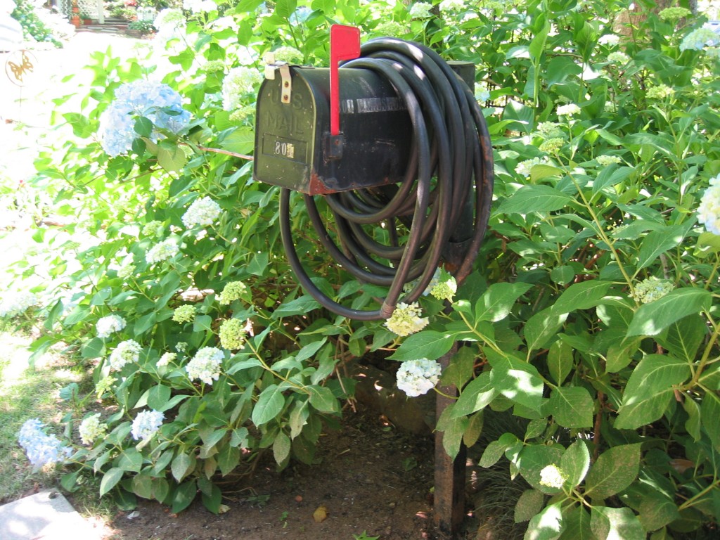 10 Creative Garden Hose Storage Ideas