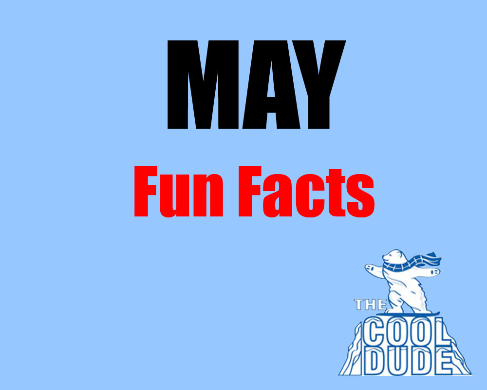Fun Facts about May The Cool Dude AC