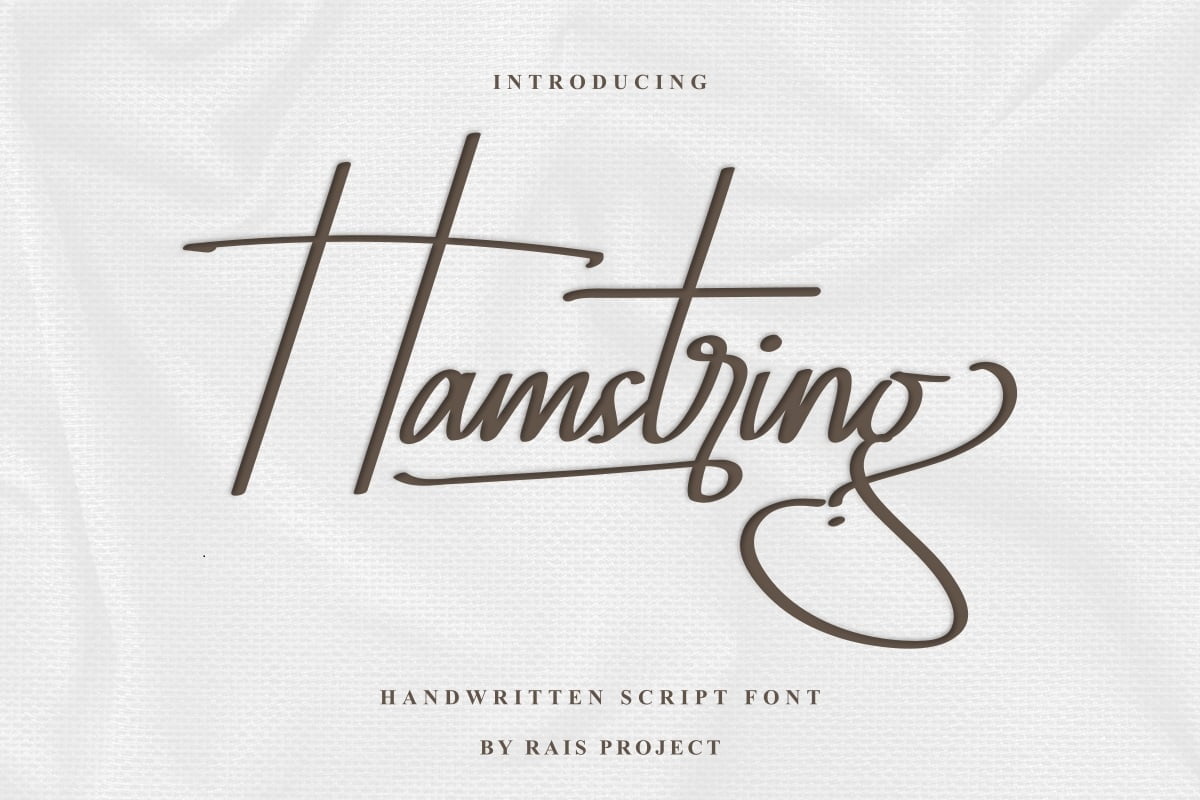 Hamstring Font Cool Fonts Guru