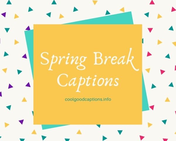 spring break captions for instagram Perfect (71+) Spring Break Captions For Instagram Vacation Pictures!!