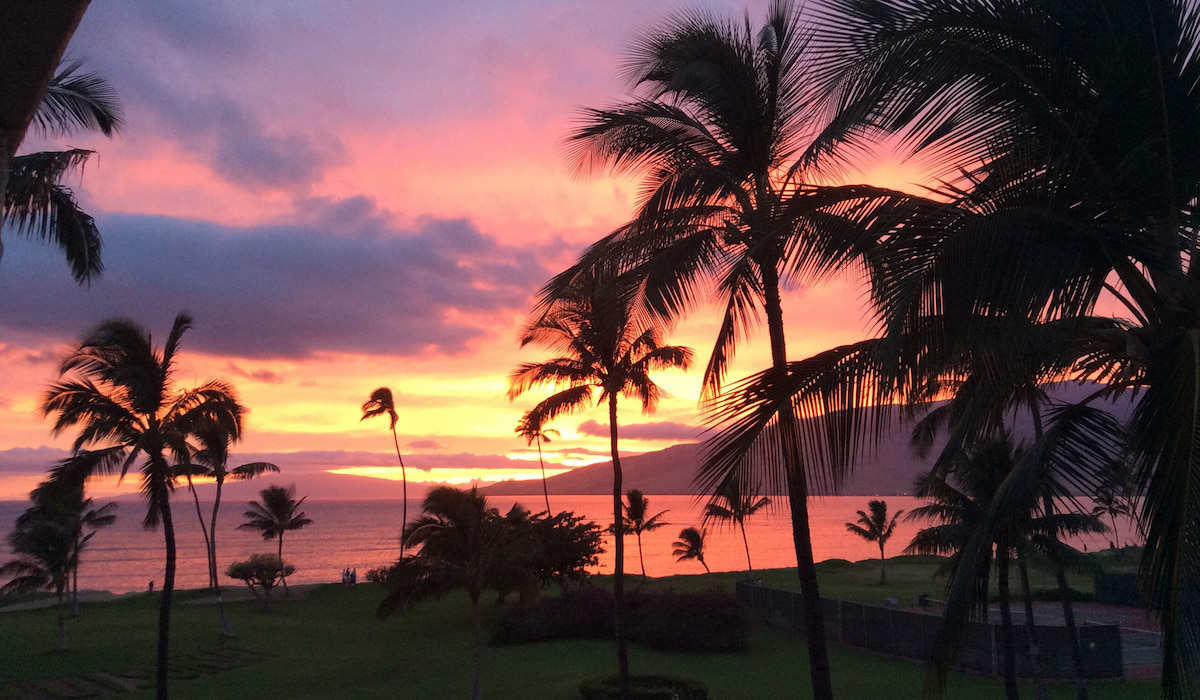 21 Cool Facts About Maui Cool Gross Weird