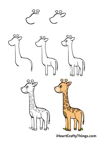 Step by step tutorial giraffe cute drawings For beginners