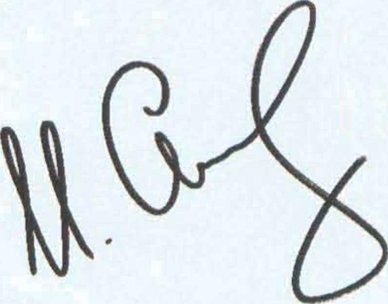 100 пенальти от читателей (fb2) КулЛиб Классная библиотека! Скачать