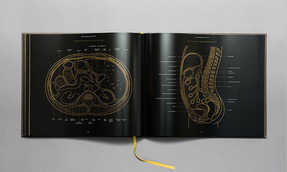 Anatomy In Black Cool Material