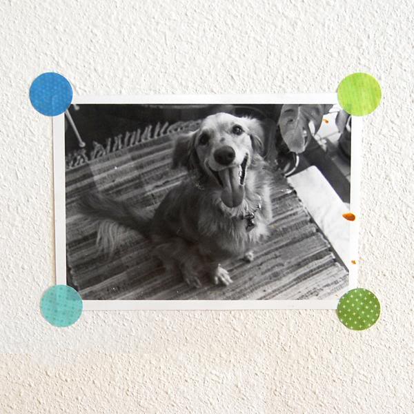 Keeping the kitchen art gallery alive Cool Mom Picks