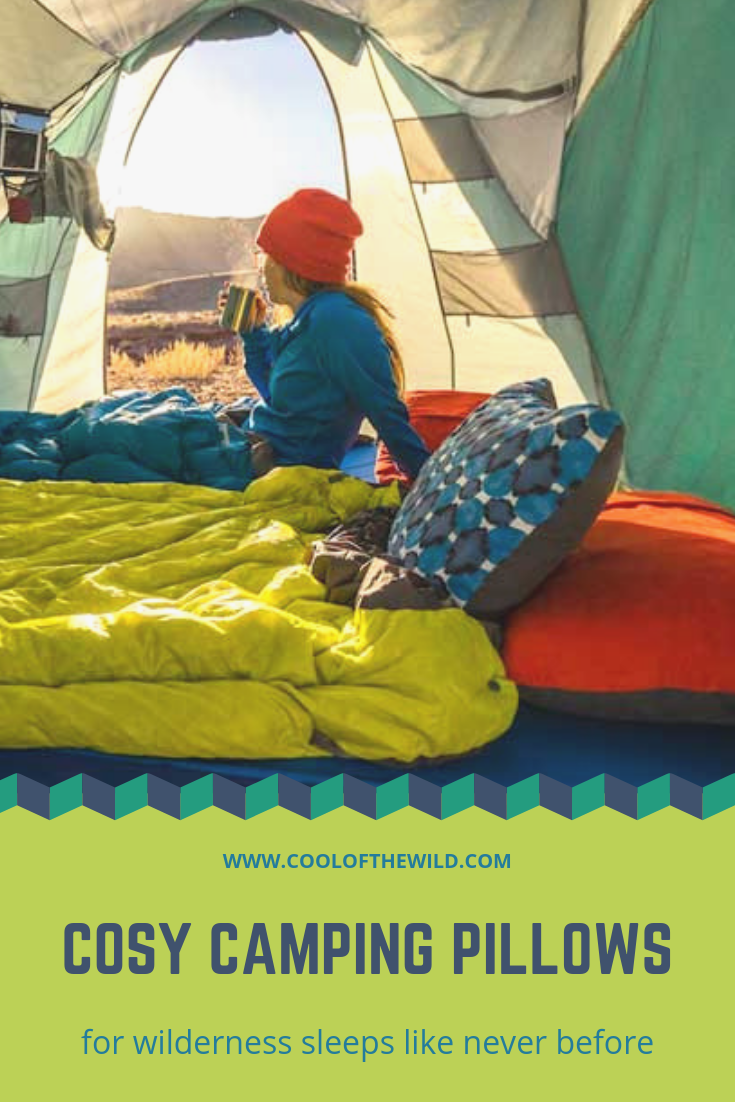 The Best Camping Pillows for Cosy Wilderness Sleeps in 2023 Cool of