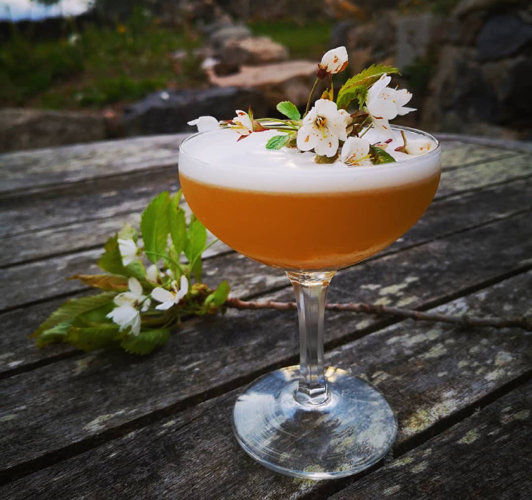 Camping Cocktails 12 Recipes to Try Cool of the Wild