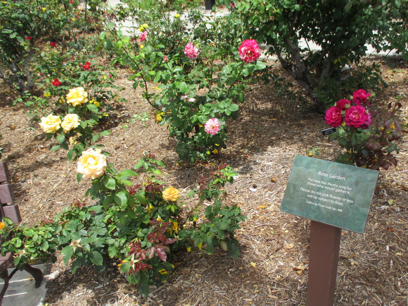 History and beauty at Magee Park in Carlsbad. Cool San Diego Sights!