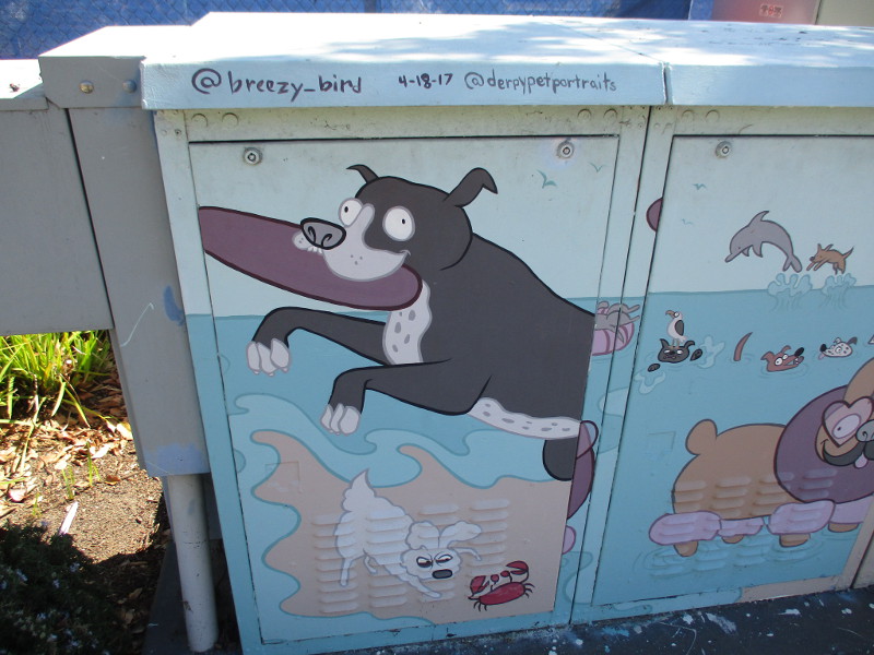 Brise Birdsong street art at Civita! Cool San Diego Sights!