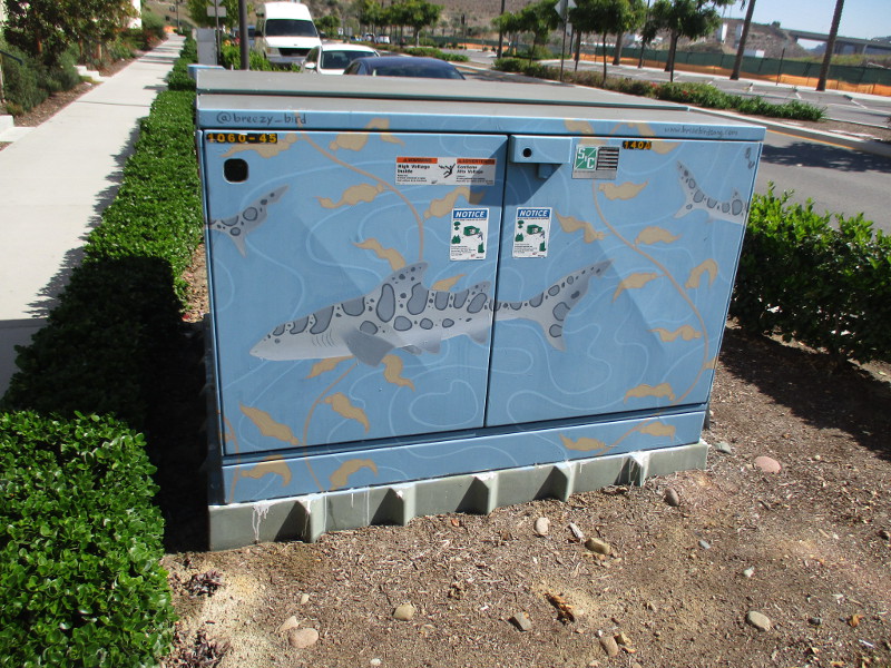 Brise Birdsong street art at Civita! Cool San Diego Sights!