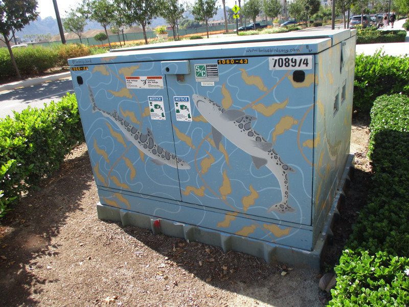 Brise Birdsong street art at Civita! Cool San Diego Sights!