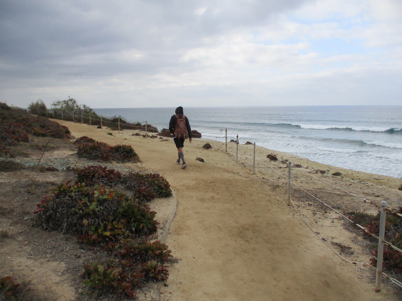 Beautiful views at Sea Cliff Park in Del Mar. Cool San Diego Sights!
