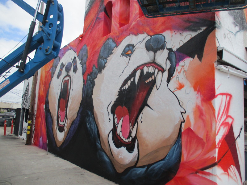 Painting a fierce panda mural in North Park! Cool San Diego Sights!