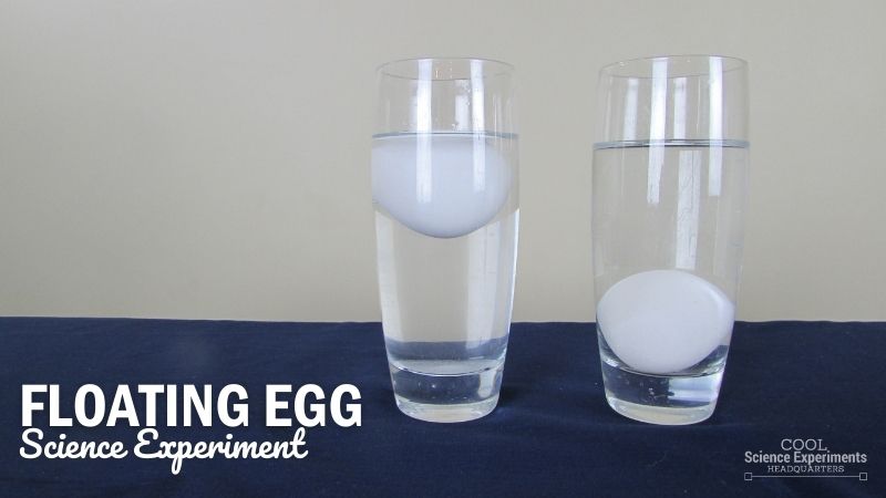 Floating Egg Science Experiment
