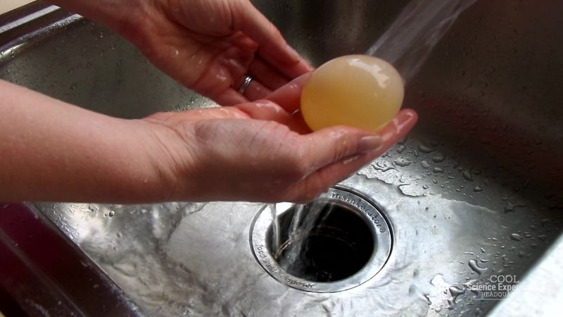 Egg in Vinegar Science Experiment - How to Make a Bouncy Egg