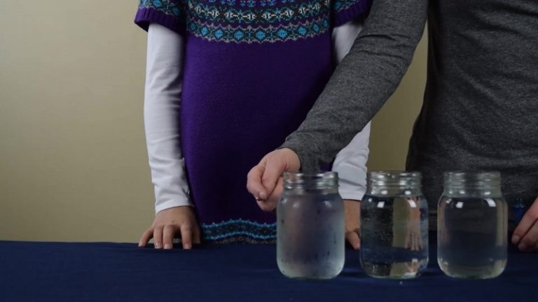 Water Temperature Science Experiment