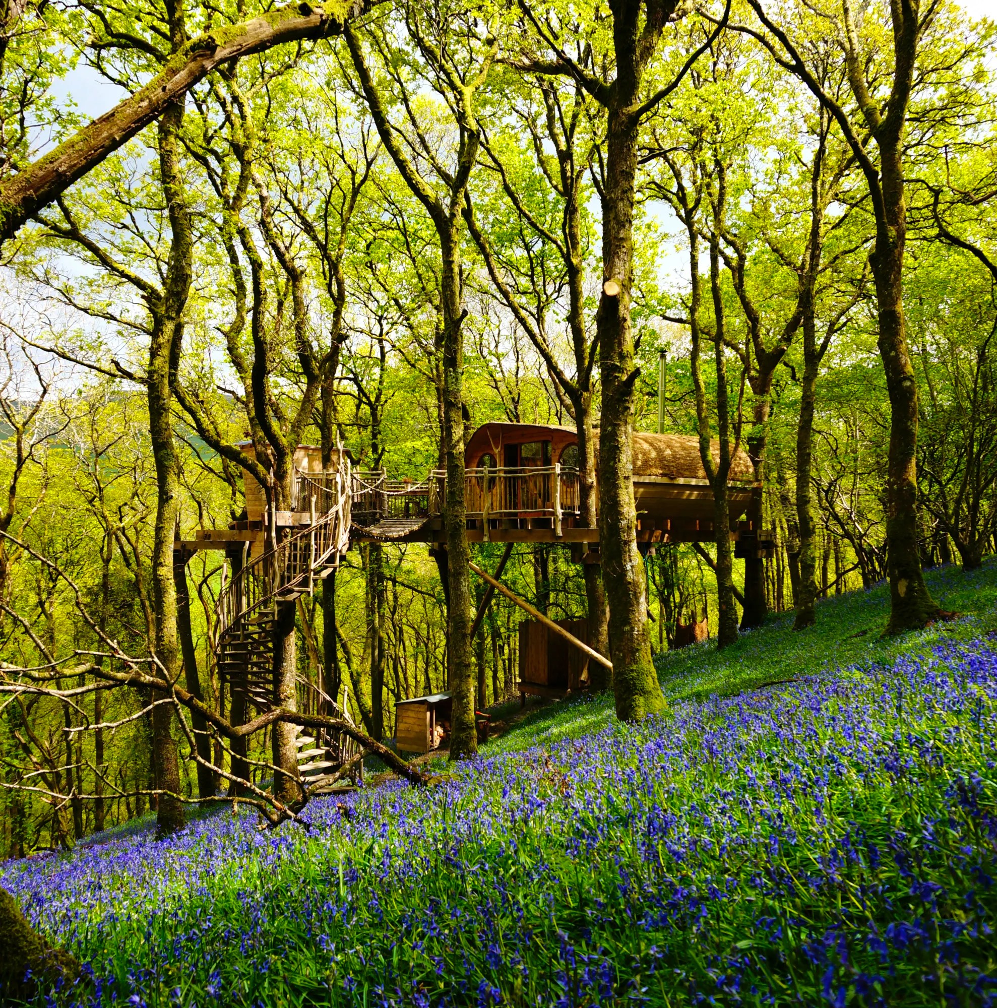 Top 10 UK Woodland Retreats