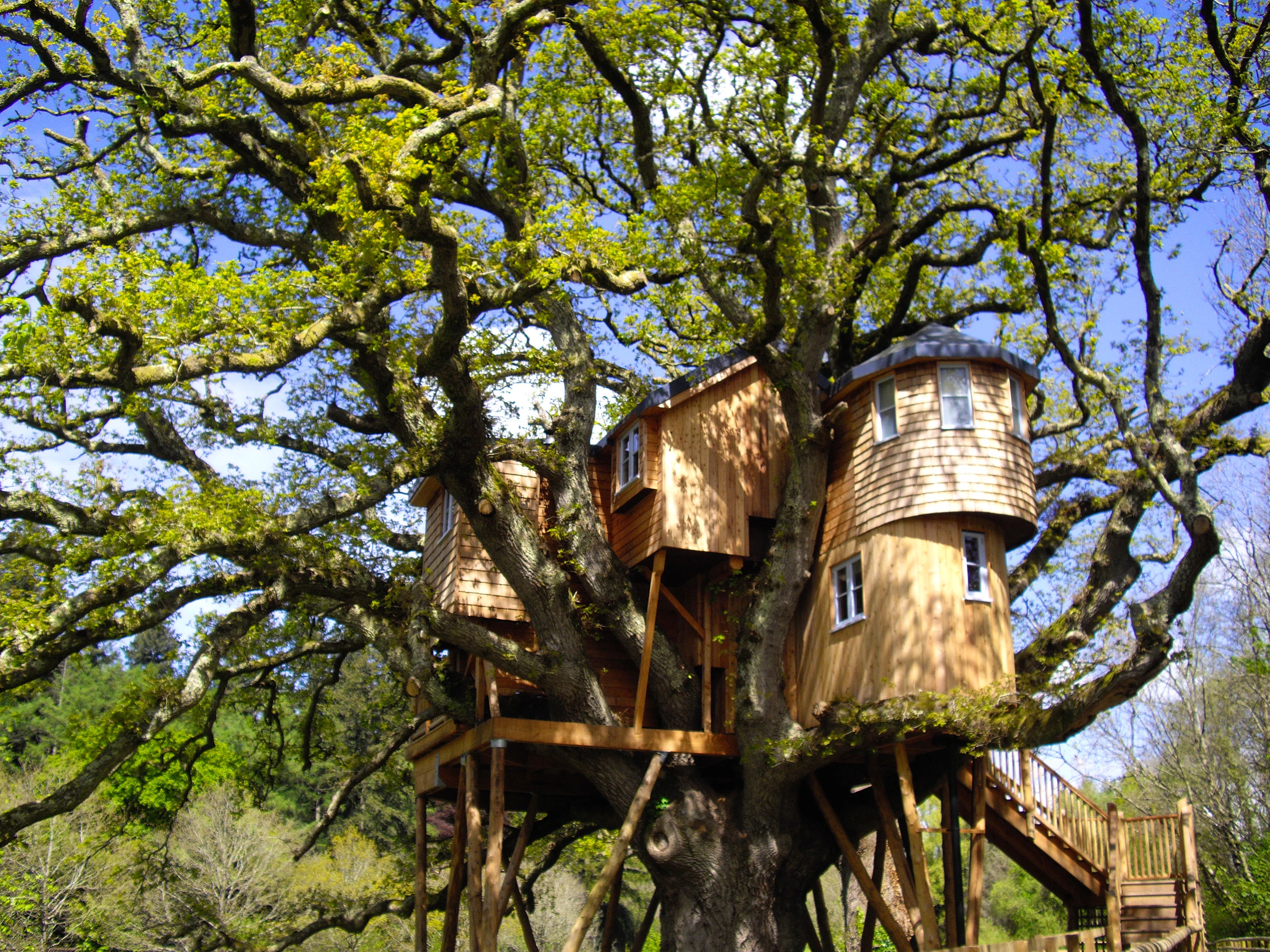 Treetops Treehouse in Eggesford Devon. Book with CoolStays
