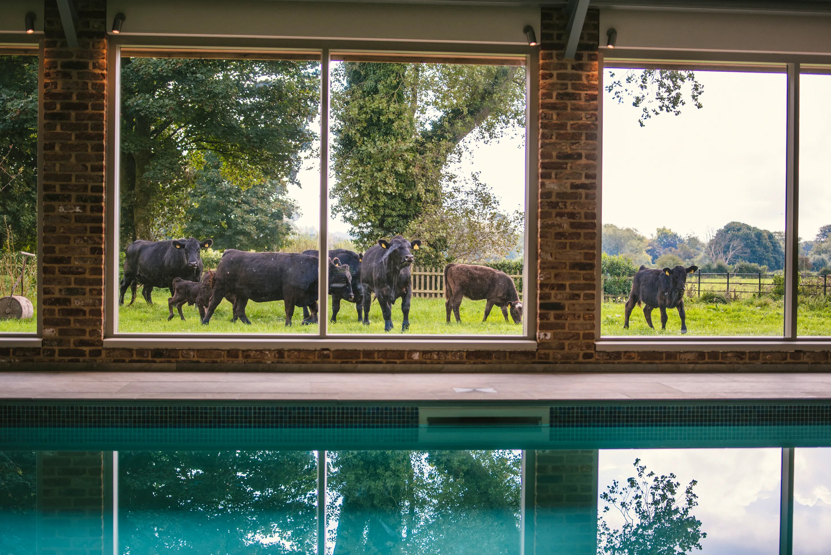 Launceston Farmhouse Dorset getaway for family and friends with indoor