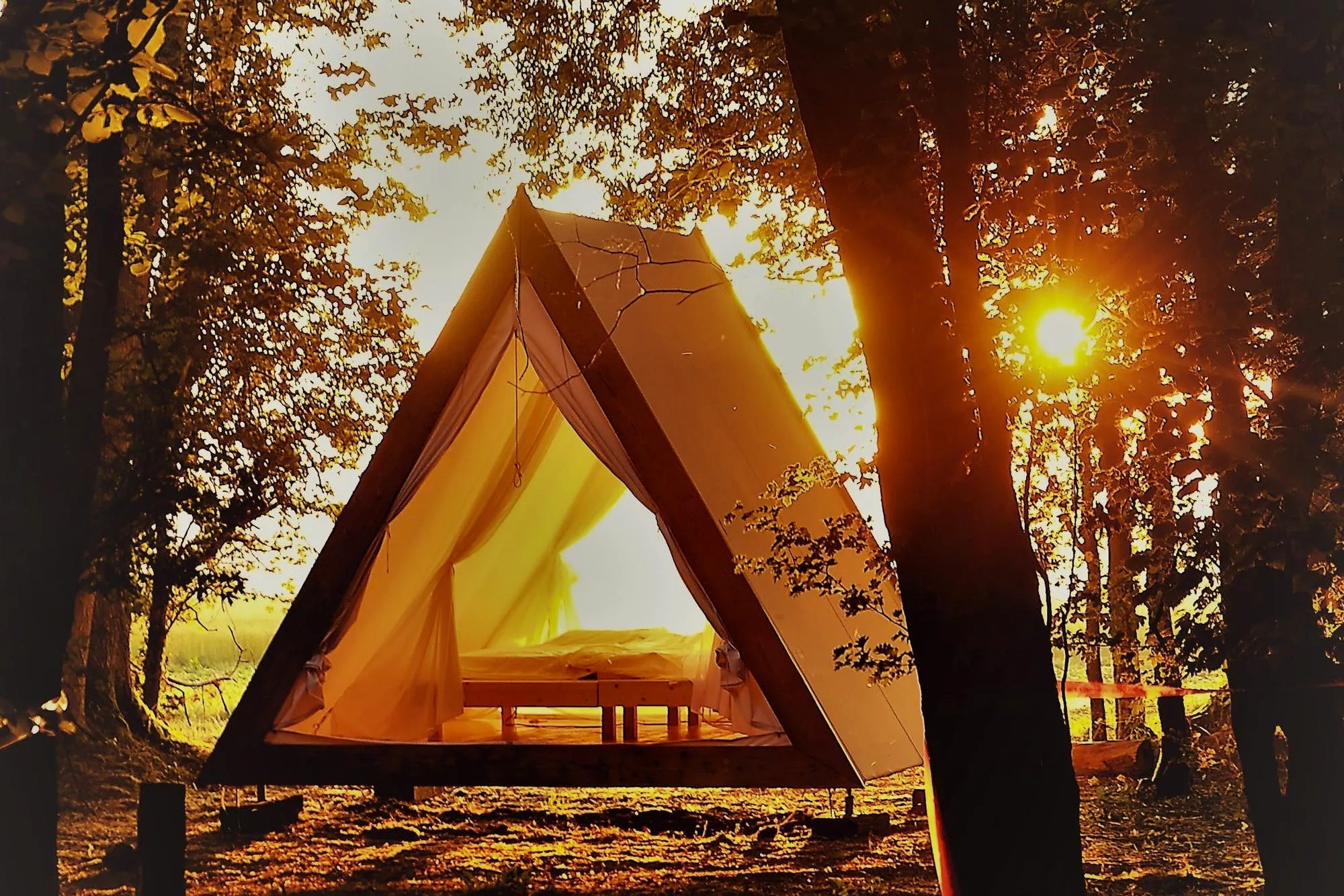 20 Amazing Woodland Escapes