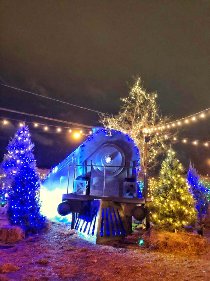 Jack Frost Winter Village Christmas Tree Farm in Chicago Definitely