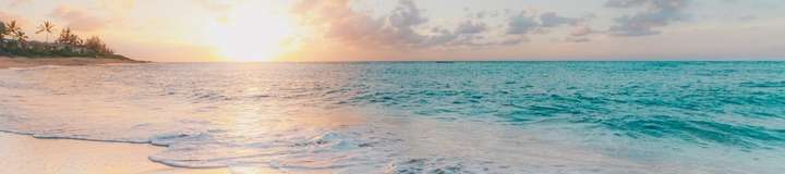 Posts of spicydrea from OnlyFans | Coomer