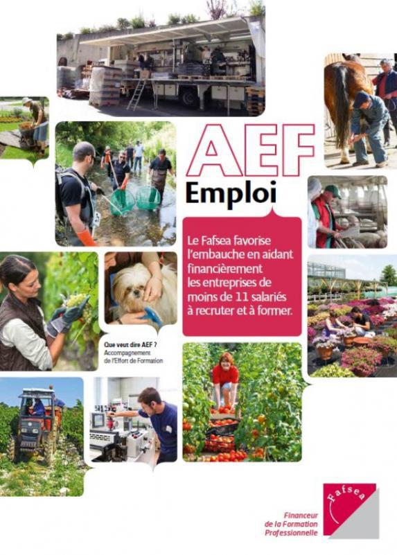 AEF EMPLOI Bénéficiez d’aides à l’embauche de vos salariés
