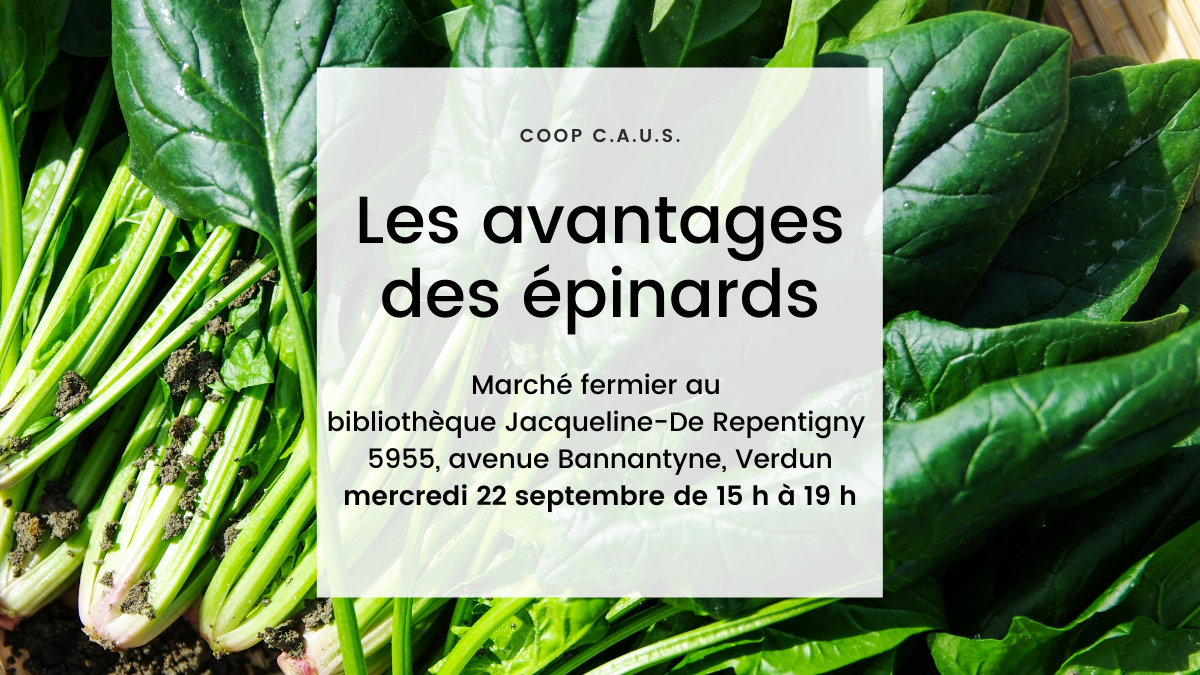 Les avantages des épinards Coop CAUS