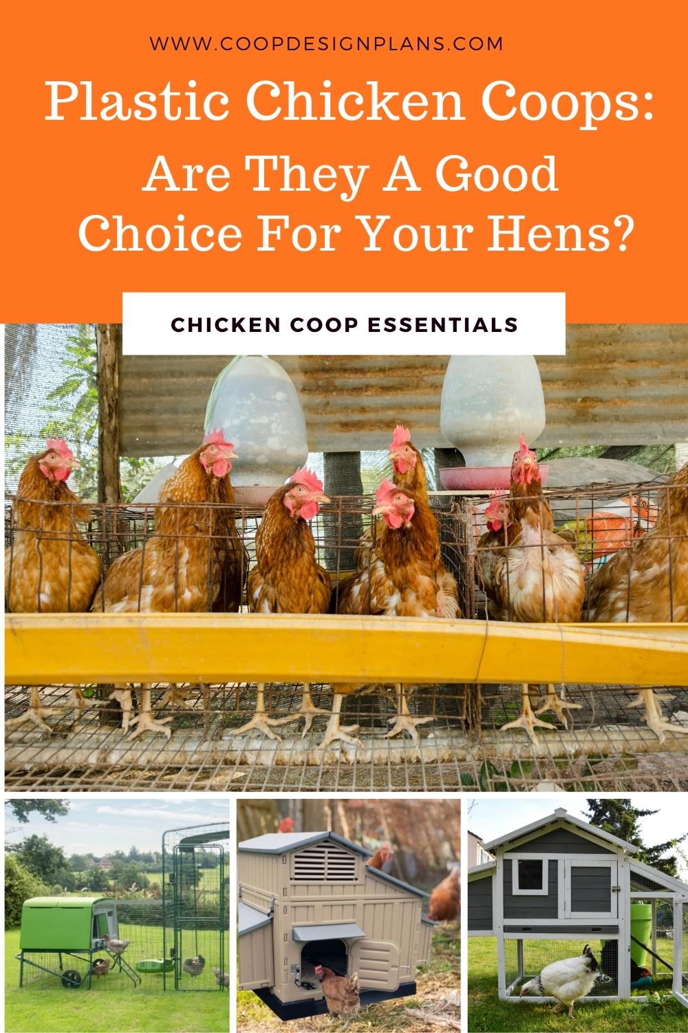 Plastic Chicken Coops Are They a Practical or Problematic Choice?