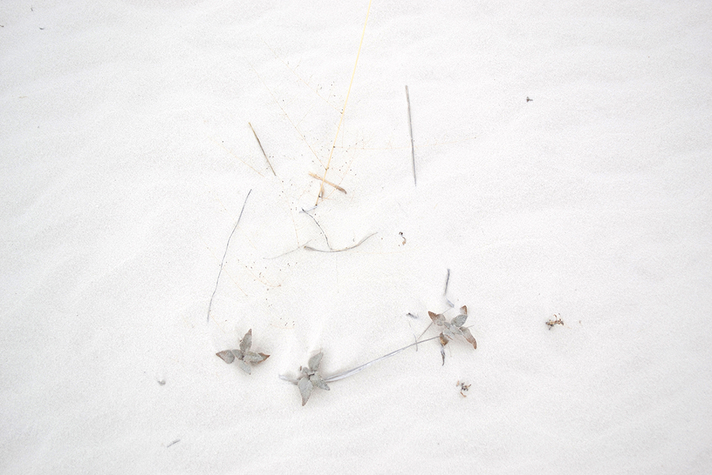 2015Christopher Stewart, Tularosa Basin, New Mexico The Cooper Union