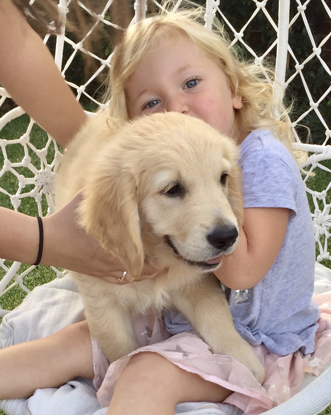 Is 1 Year Old Still A Puppy