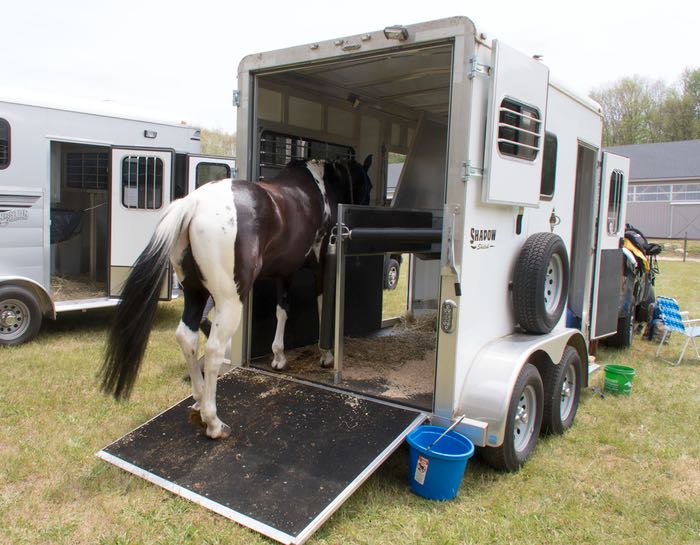 Alpaca and Llama Training Terry Golson