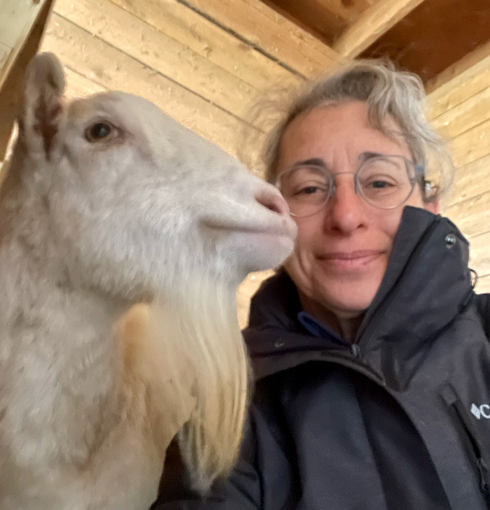 The Goats Need Coats Terry Golson