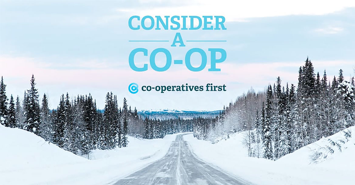 Stocksy United coop is elevating an industry • Cooperatives First