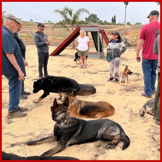 Contact Us Cooperhaus K9