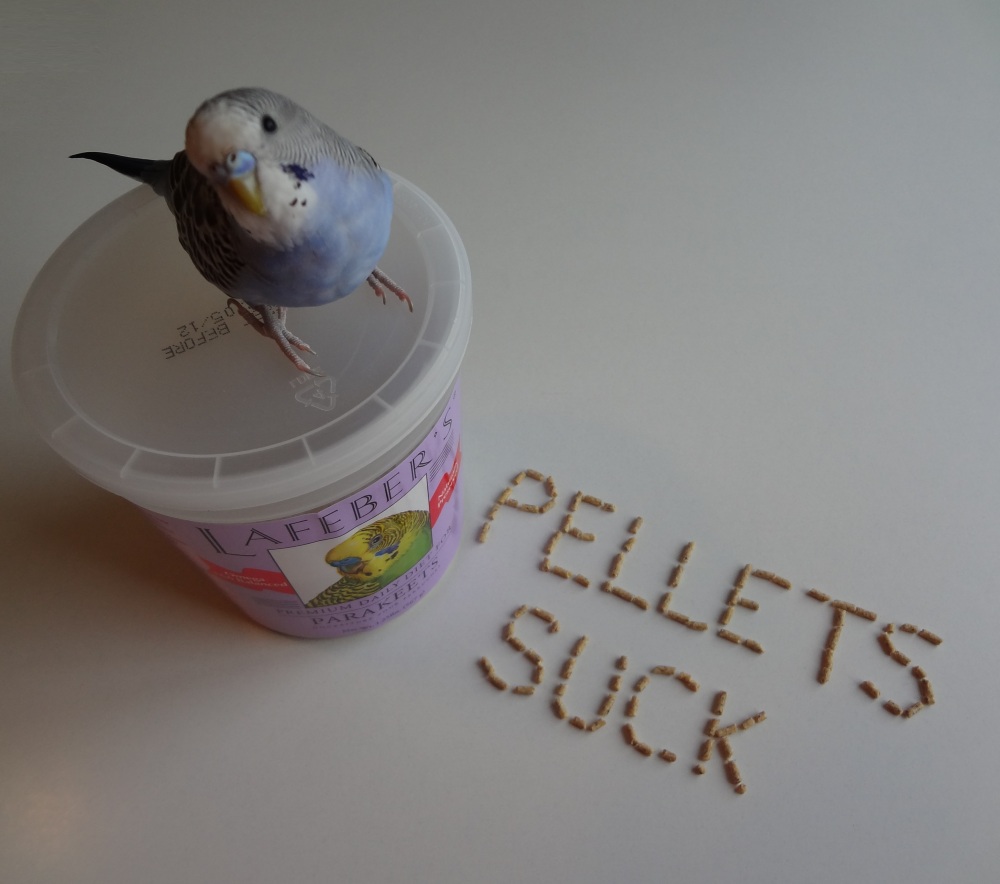 I think Cooper’s trying to tell me something…