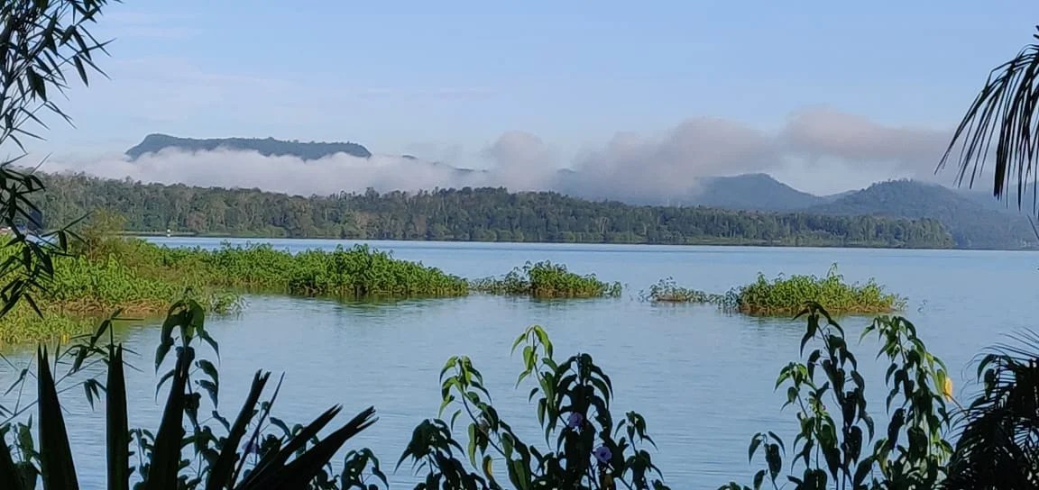 Sarayu Backwater Resort Top Rated Resort in