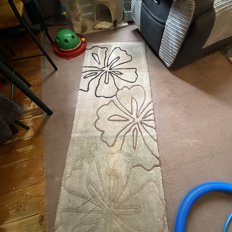 Upholstery, Sofa & Carpet Cleaning Kilmarnock