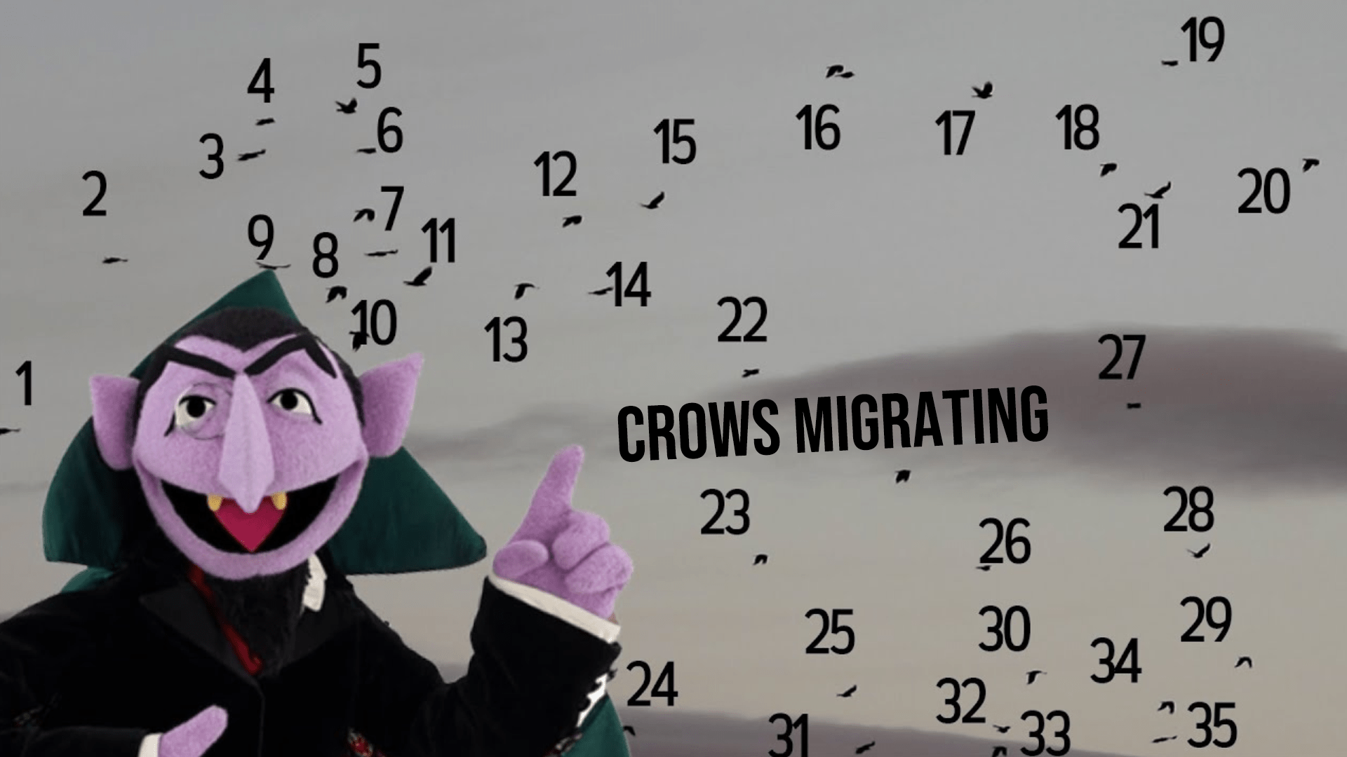 Why do crows migrate in the winter? Coouge