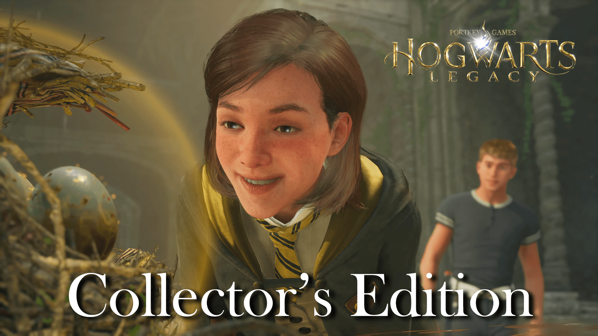 Hogwarts Legacy Collector's Edition Coouge