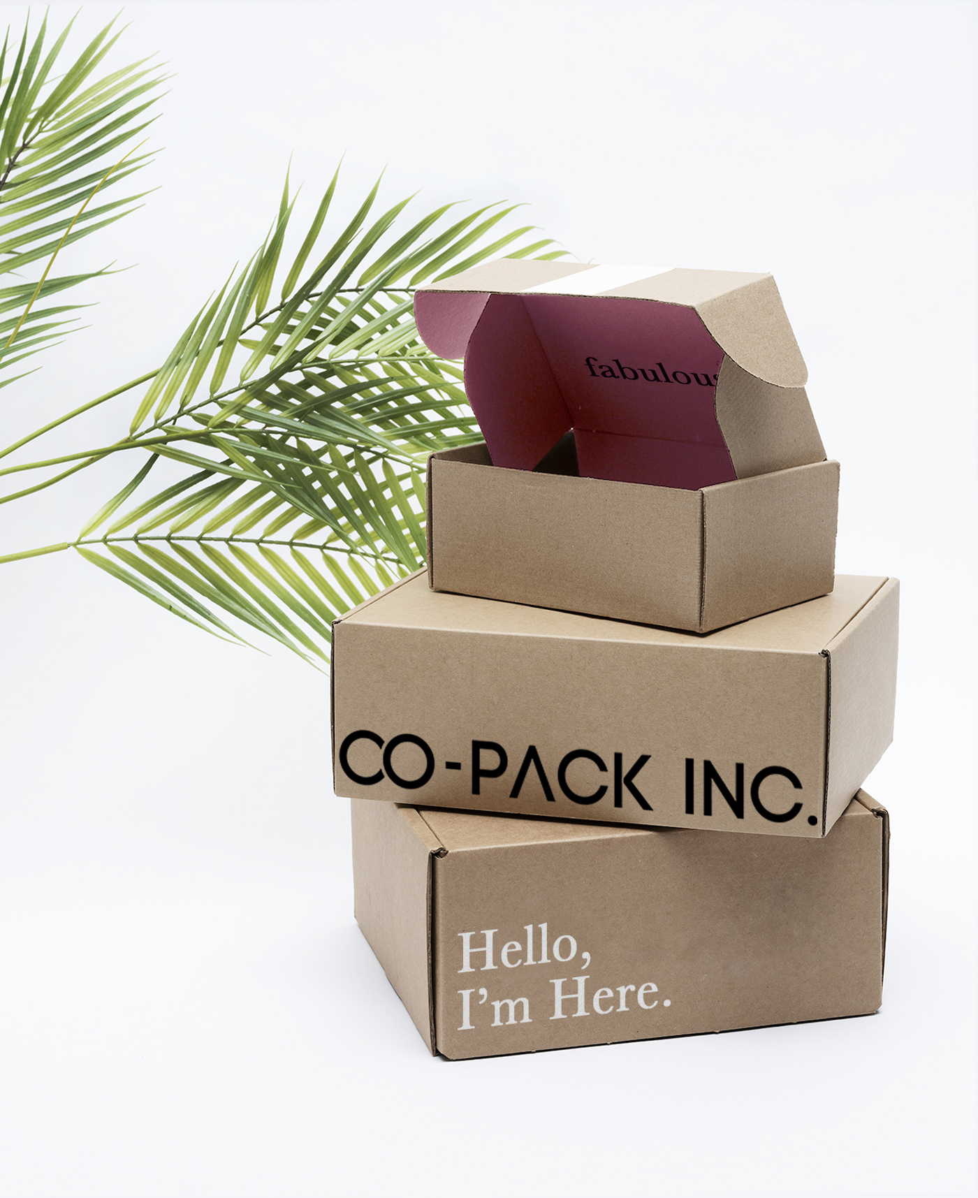 Shipping Boxes CoPack Inc.