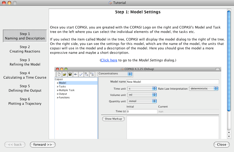 COPASI Support/User Manual/Model Creation/Tutorial Wizard