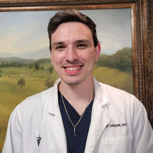 Our Veterinary Team Copeland Veterinary Hospital