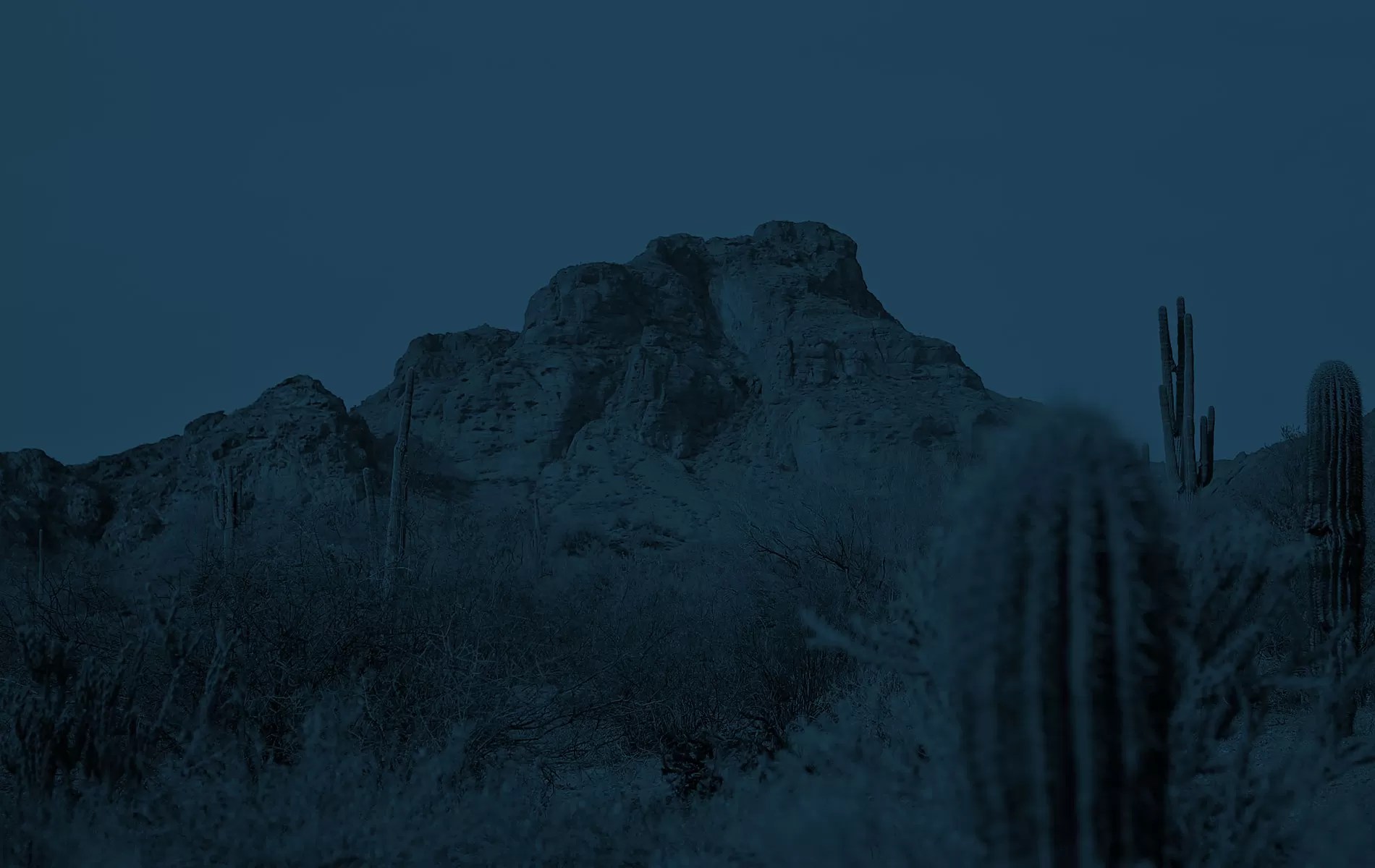 Attorneys in Mesa AZ Copper Canyon Law