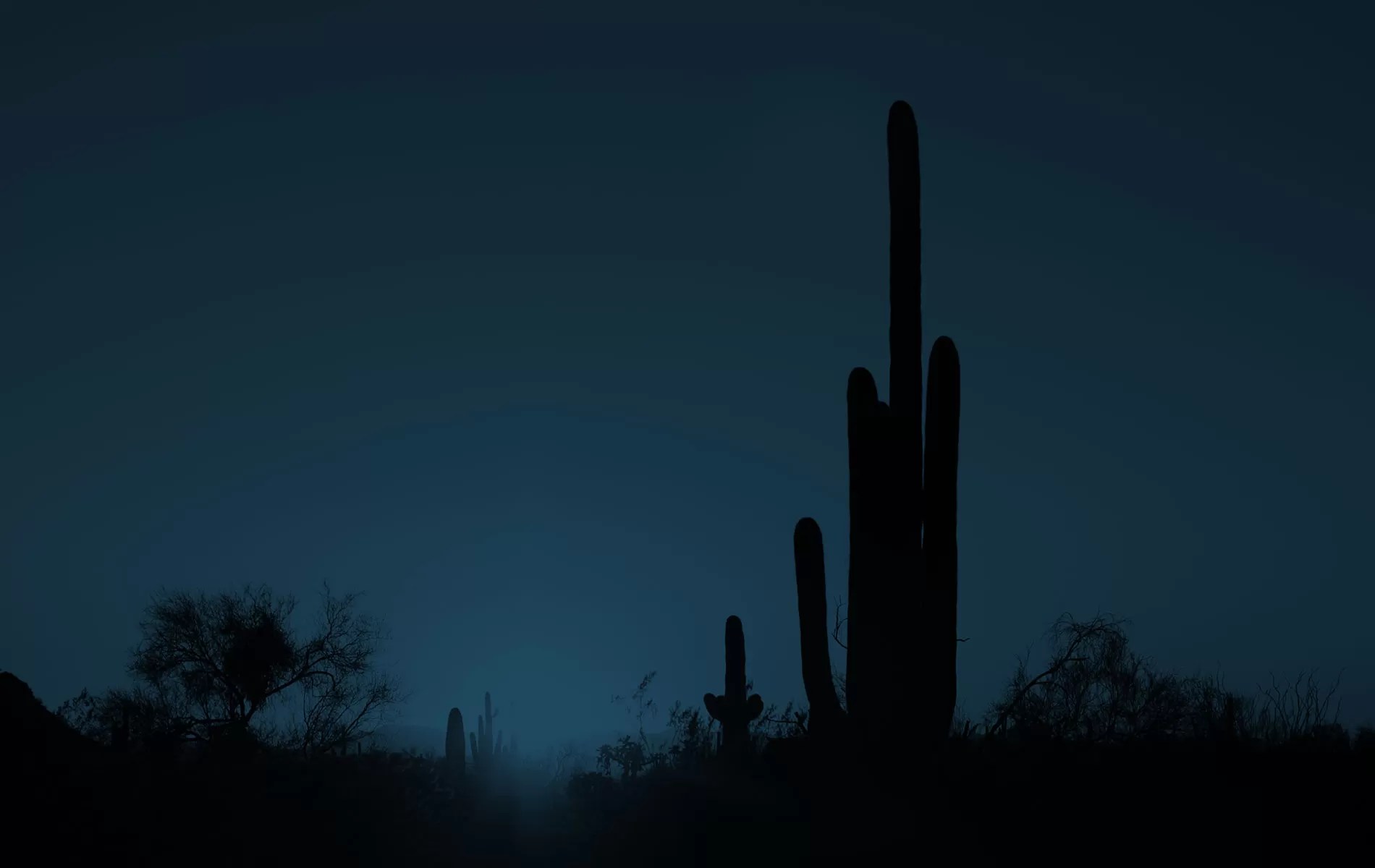 Attorneys in Mesa AZ Copper Canyon Law