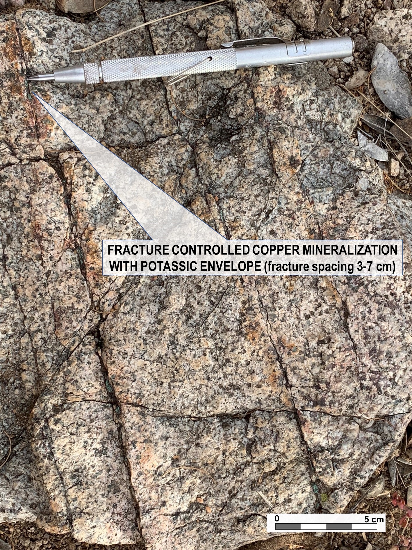 Photo Gallery Copper Fox Metals Inc.