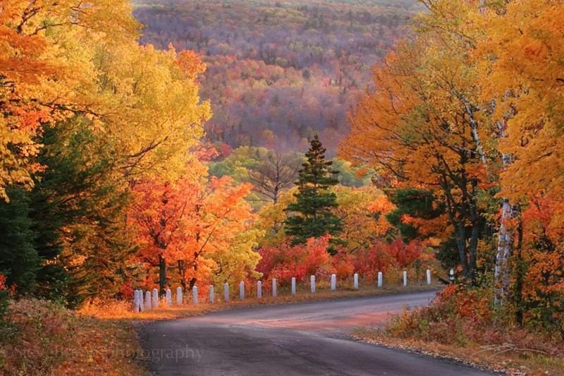 Gallery Copper Harbor Copper Harbor