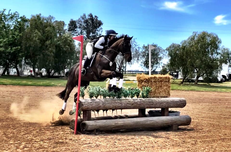 Derby Copper Meadows Eventing