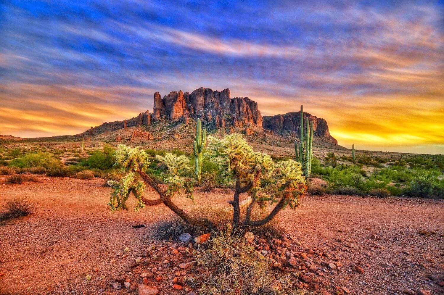 C.O.P.S. Walk Southwest C.O.P.S. Arizona