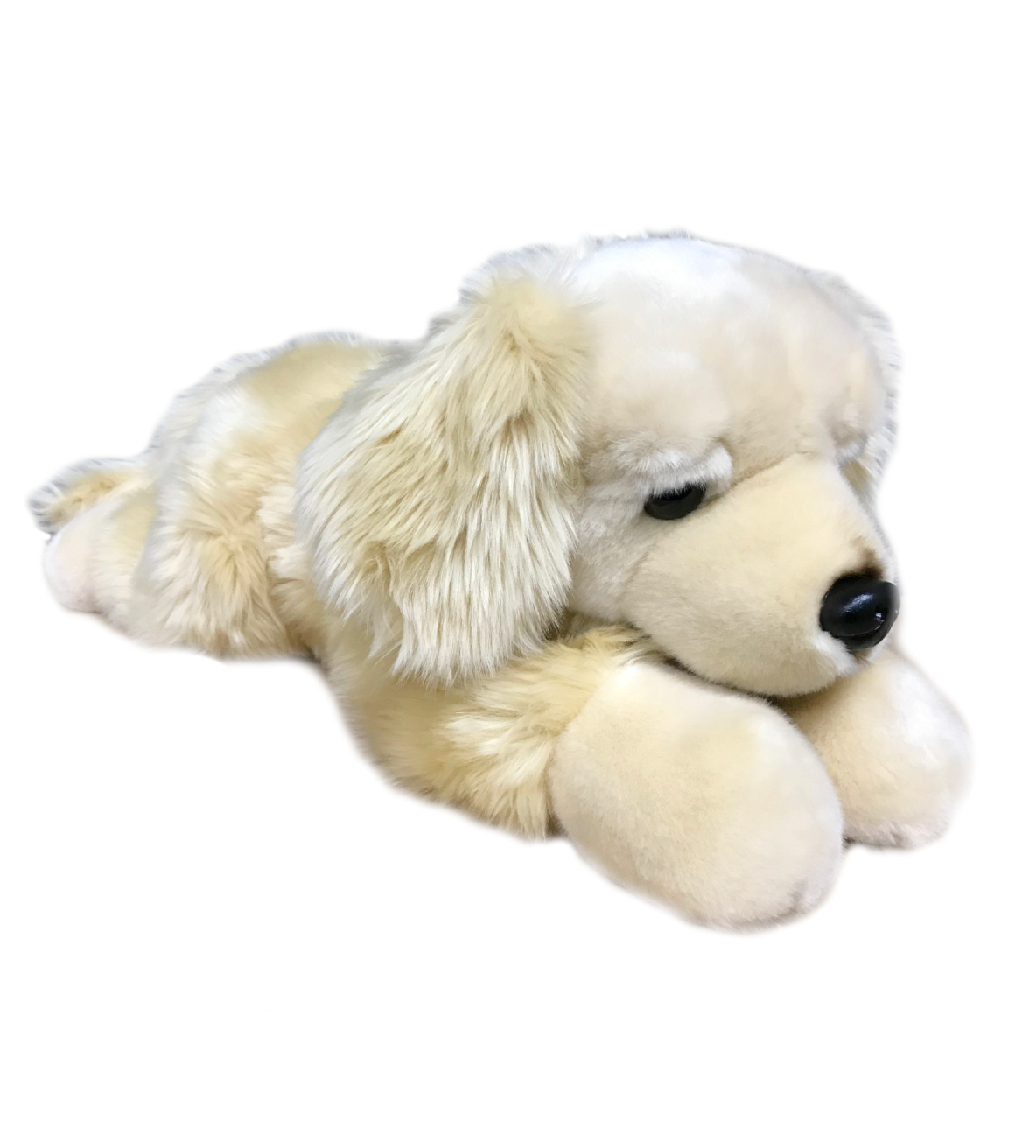 Bobby the Friendlee Lab